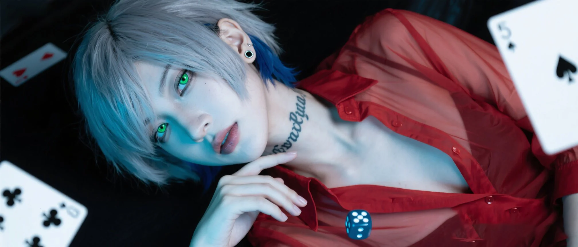 高低波動度老虎機的獎金分佈差異